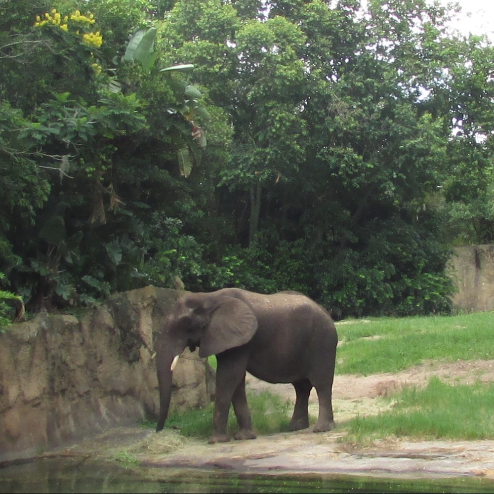 Meet your Posher, Wynona